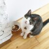 【全猫対応】『NaturalBalance ORIGINAL』の小分けタイプがいつでもフレッシュ！